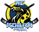 Klubový archivní snímek